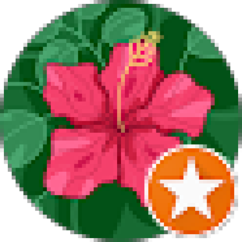 Client Image
